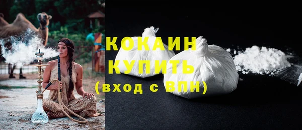 стаф Белокуриха