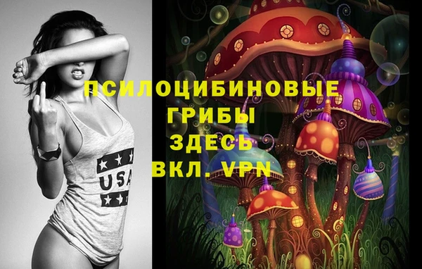 мескалин Богородск