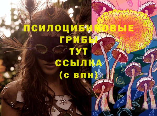 спайс Белоозёрский