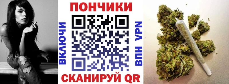 дарнет шоп  Кировград  Канабис семена 
